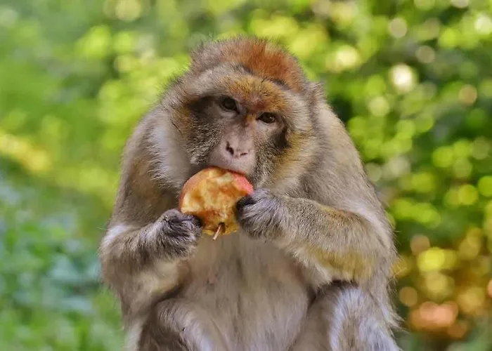 Relax-apartment Mit Indoor-pool, Fitness Und Netflix Am Bodensee